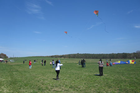 Flying kites in a park