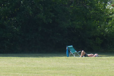 Photo: Park photo