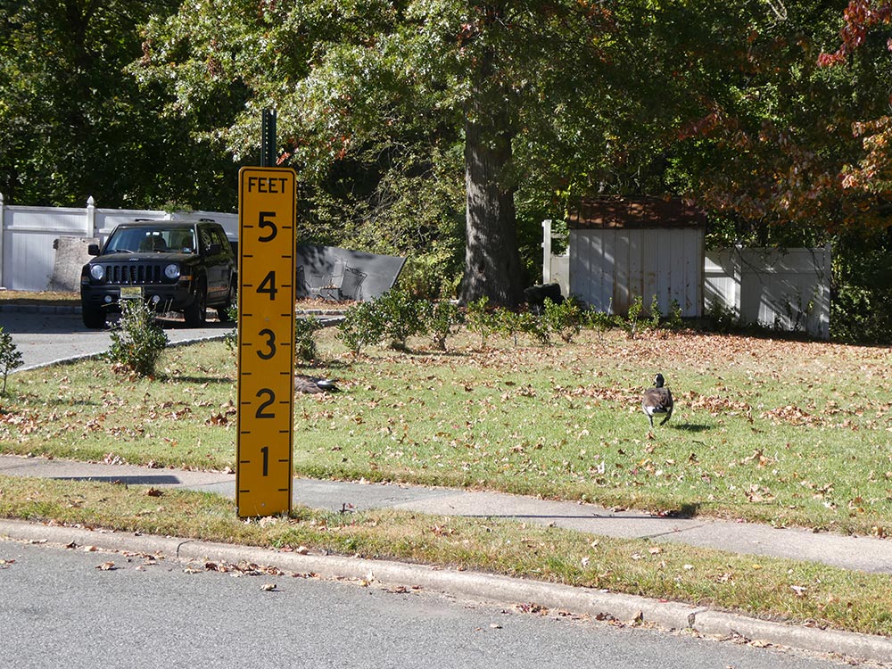 Photo: Photograph showing a yellow flood gauge marked in feet from 1 to 5, positioned near a curb with grass and trees in the background. A black vehicle is parked on a nearby driveway, and a bird stands on the grass, indicating a residential area prone to flooding.