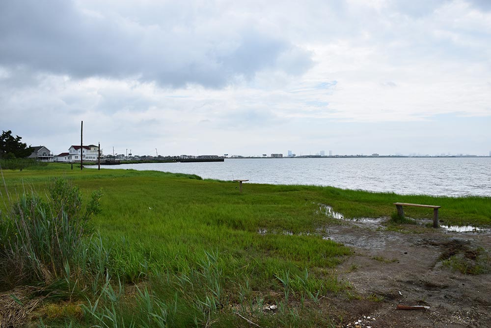 Photo: Photograph of a coastal marshland with green grass and a muddy shoreline under a cloudy sky. A wooden bench is positioned near water's edge, with houses and a distant city skyline visible across the bay.