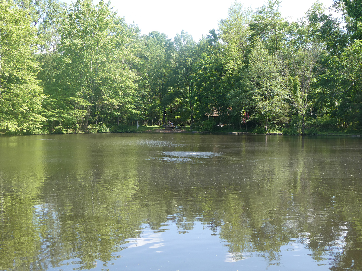 Photo: A calm pond surrounded by dense green trees in Closter, NJ.