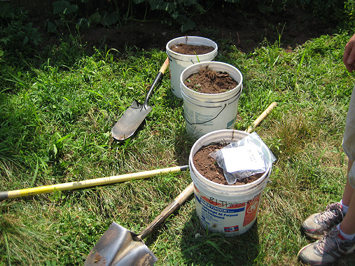 Photo: Soil samples collected from New Brunswick backyard gardens. (Courtesy of Carol Baillie.)
