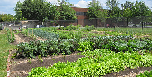 Photo: Tucker Street Garden.